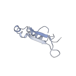 4825_6rdo_Q_v1-3
Cryo-EM structure of Polytomella F-ATP synthase, Rotary substate 1C, composite map