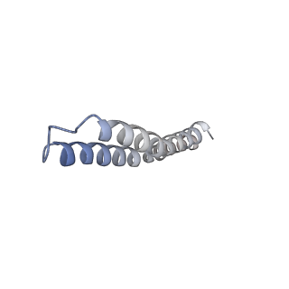 4826_6rdp_C_v1-2
Cryo-EM structure of Polytomella F-ATP synthase, Rotary substate 1C, focussed refinement of F1 head and rotor