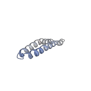 4826_6rdp_G_v1-2
Cryo-EM structure of Polytomella F-ATP synthase, Rotary substate 1C, focussed refinement of F1 head and rotor