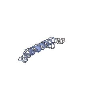 4826_6rdp_H_v1-2
Cryo-EM structure of Polytomella F-ATP synthase, Rotary substate 1C, focussed refinement of F1 head and rotor