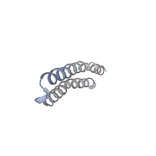 4826_6rdp_I_v1-2
Cryo-EM structure of Polytomella F-ATP synthase, Rotary substate 1C, focussed refinement of F1 head and rotor