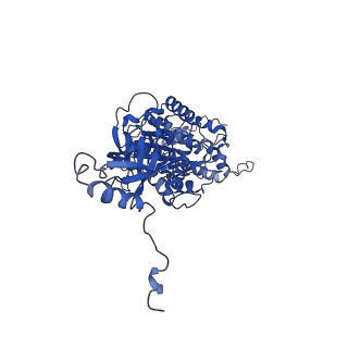 4826_6rdp_V_v1-2
Cryo-EM structure of Polytomella F-ATP synthase, Rotary substate 1C, focussed refinement of F1 head and rotor