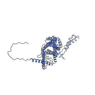 4827_6rdq_1_v1-2
Cryo-EM structure of Polytomella F-ATP synthase, Rotary substate 1D, composite map