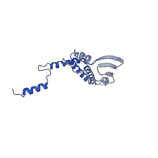 4827_6rdq_7_v1-2
Cryo-EM structure of Polytomella F-ATP synthase, Rotary substate 1D, composite map