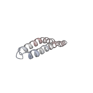 4827_6rdq_F_v1-2
Cryo-EM structure of Polytomella F-ATP synthase, Rotary substate 1D, composite map