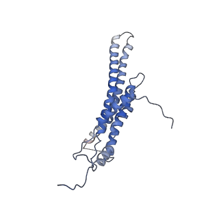 4827_6rdq_M_v1-2
Cryo-EM structure of Polytomella F-ATP synthase, Rotary substate 1D, composite map