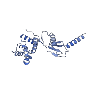 4827_6rdq_P_v1-2
Cryo-EM structure of Polytomella F-ATP synthase, Rotary substate 1D, composite map