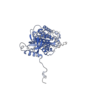4827_6rdq_V_v1-2
Cryo-EM structure of Polytomella F-ATP synthase, Rotary substate 1D, composite map