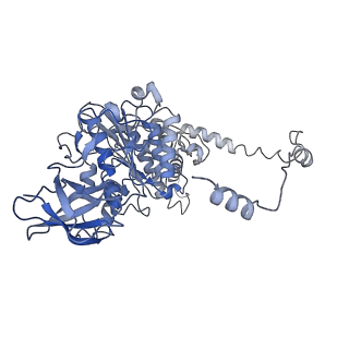 4827_6rdq_Y_v1-2
Cryo-EM structure of Polytomella F-ATP synthase, Rotary substate 1D, composite map