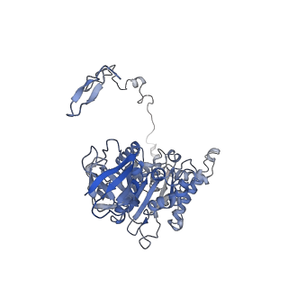 4827_6rdq_Z_v1-2
Cryo-EM structure of Polytomella F-ATP synthase, Rotary substate 1D, composite map