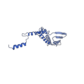 4830_6rdt_7_v1-2
Cryo-EM structure of Polytomella F-ATP synthase, Rotary substate 1E, composite map