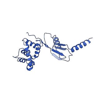 4830_6rdt_P_v1-2
Cryo-EM structure of Polytomella F-ATP synthase, Rotary substate 1E, composite map