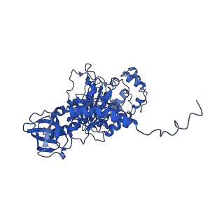 4830_6rdt_T_v1-2
Cryo-EM structure of Polytomella F-ATP synthase, Rotary substate 1E, composite map