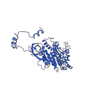 4830_6rdt_U_v1-2
Cryo-EM structure of Polytomella F-ATP synthase, Rotary substate 1E, composite map