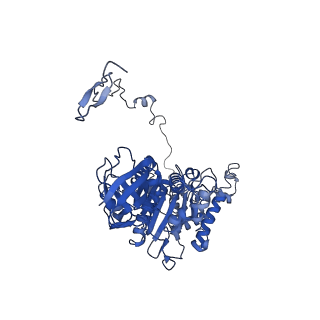 4830_6rdt_Z_v1-2
Cryo-EM structure of Polytomella F-ATP synthase, Rotary substate 1E, composite map