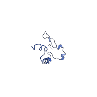 4831_6rdu_0_v1-2
Cryo-EM structure of Polytomella F-ATP synthase, Rotary substate 1E, monomer-masked refinement