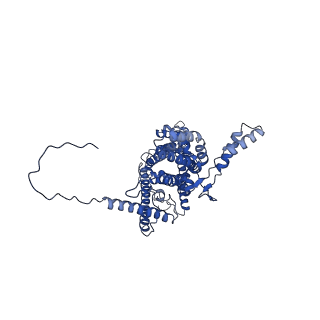 4831_6rdu_1_v1-2
Cryo-EM structure of Polytomella F-ATP synthase, Rotary substate 1E, monomer-masked refinement