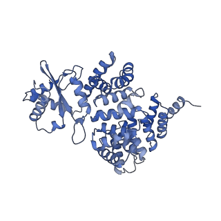 4831_6rdu_2_v1-2
Cryo-EM structure of Polytomella F-ATP synthase, Rotary substate 1E, monomer-masked refinement