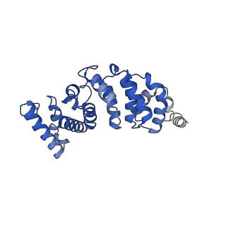 4831_6rdu_3_v1-2
Cryo-EM structure of Polytomella F-ATP synthase, Rotary substate 1E, monomer-masked refinement