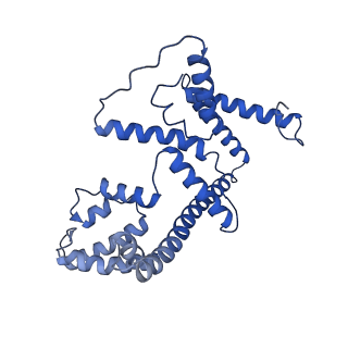 4831_6rdu_4_v1-2
Cryo-EM structure of Polytomella F-ATP synthase, Rotary substate 1E, monomer-masked refinement
