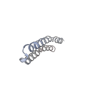 4831_6rdu_H_v1-2
Cryo-EM structure of Polytomella F-ATP synthase, Rotary substate 1E, monomer-masked refinement