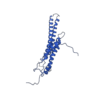 4831_6rdu_M_v1-2
Cryo-EM structure of Polytomella F-ATP synthase, Rotary substate 1E, monomer-masked refinement