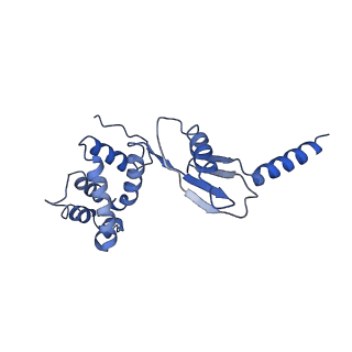 4831_6rdu_P_v1-2
Cryo-EM structure of Polytomella F-ATP synthase, Rotary substate 1E, monomer-masked refinement