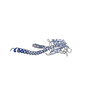 4831_6rdu_S_v1-2
Cryo-EM structure of Polytomella F-ATP synthase, Rotary substate 1E, monomer-masked refinement