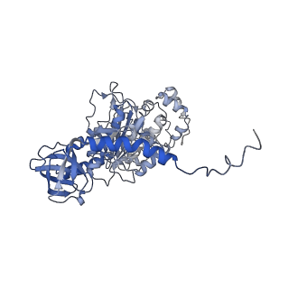 4831_6rdu_T_v1-2
Cryo-EM structure of Polytomella F-ATP synthase, Rotary substate 1E, monomer-masked refinement