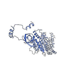 4831_6rdu_U_v1-2
Cryo-EM structure of Polytomella F-ATP synthase, Rotary substate 1E, monomer-masked refinement