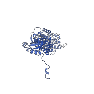 4831_6rdu_V_v1-2
Cryo-EM structure of Polytomella F-ATP synthase, Rotary substate 1E, monomer-masked refinement