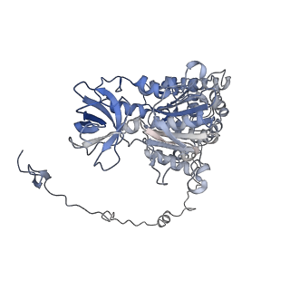 4831_6rdu_X_v1-2
Cryo-EM structure of Polytomella F-ATP synthase, Rotary substate 1E, monomer-masked refinement