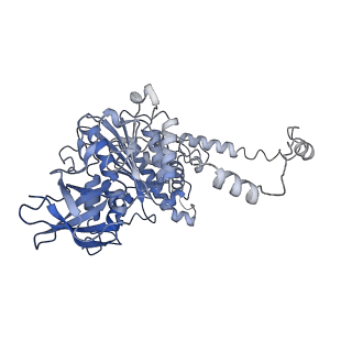 4831_6rdu_Y_v1-2
Cryo-EM structure of Polytomella F-ATP synthase, Rotary substate 1E, monomer-masked refinement