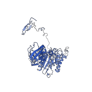 4831_6rdu_Z_v1-2
Cryo-EM structure of Polytomella F-ATP synthase, Rotary substate 1E, monomer-masked refinement