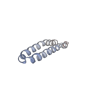 4832_6rdv_F_v1-2
Cryo-EM structure of Polytomella F-ATP synthase, Rotary substate 1E, focussed refinement of F1 head and rotor