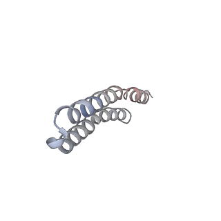 4832_6rdv_H_v1-2
Cryo-EM structure of Polytomella F-ATP synthase, Rotary substate 1E, focussed refinement of F1 head and rotor