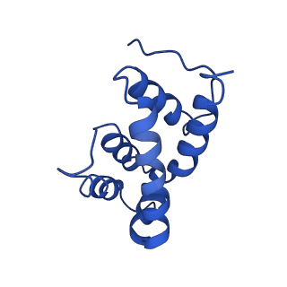 4832_6rdv_P_v1-2
Cryo-EM structure of Polytomella F-ATP synthase, Rotary substate 1E, focussed refinement of F1 head and rotor