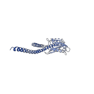 4832_6rdv_S_v1-2
Cryo-EM structure of Polytomella F-ATP synthase, Rotary substate 1E, focussed refinement of F1 head and rotor