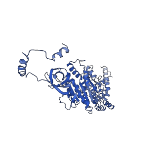 4832_6rdv_U_v1-2
Cryo-EM structure of Polytomella F-ATP synthase, Rotary substate 1E, focussed refinement of F1 head and rotor