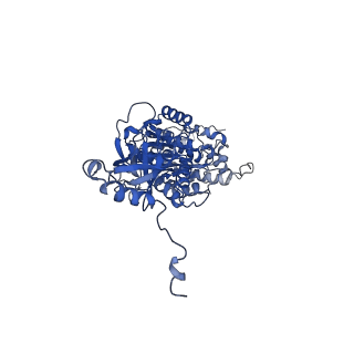 4832_6rdv_V_v1-2
Cryo-EM structure of Polytomella F-ATP synthase, Rotary substate 1E, focussed refinement of F1 head and rotor