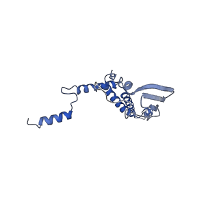 4833_6rdw_7_v1-2
Cryo-EM structure of Polytomella F-ATP synthase, Rotary substate 1F, composite map