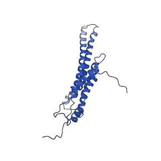 4833_6rdw_M_v1-2
Cryo-EM structure of Polytomella F-ATP synthase, Rotary substate 1F, composite map