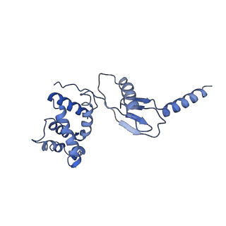 4833_6rdw_P_v1-2
Cryo-EM structure of Polytomella F-ATP synthase, Rotary substate 1F, composite map