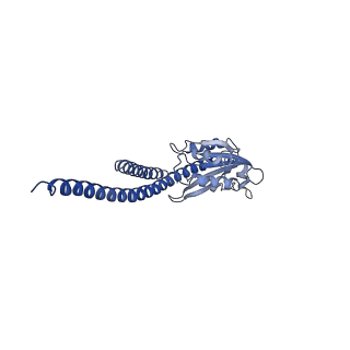 4833_6rdw_S_v1-2
Cryo-EM structure of Polytomella F-ATP synthase, Rotary substate 1F, composite map