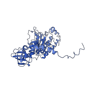 4833_6rdw_T_v1-2
Cryo-EM structure of Polytomella F-ATP synthase, Rotary substate 1F, composite map