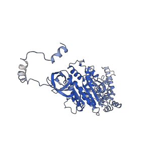 4833_6rdw_U_v1-2
Cryo-EM structure of Polytomella F-ATP synthase, Rotary substate 1F, composite map