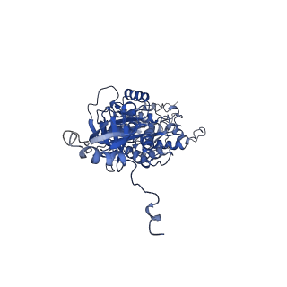 4833_6rdw_V_v1-2
Cryo-EM structure of Polytomella F-ATP synthase, Rotary substate 1F, composite map