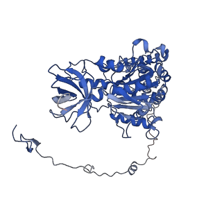 4833_6rdw_X_v1-2
Cryo-EM structure of Polytomella F-ATP synthase, Rotary substate 1F, composite map