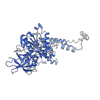 4833_6rdw_Y_v1-2
Cryo-EM structure of Polytomella F-ATP synthase, Rotary substate 1F, composite map