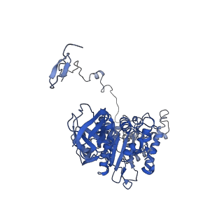 4833_6rdw_Z_v1-2
Cryo-EM structure of Polytomella F-ATP synthase, Rotary substate 1F, composite map